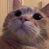 ์ง๊ตฌ๋ณธ์ ๋ณด๋ฉด ์ฐ๋ฆฌ์ฌ๋ ์ง๊ตฌ๋ ๋ฅ๊ทผ๋ฐ๐ (@hell_1o) 's Twitter Profile Photo ์ง๊ตฌ๋ณธ์ ๋ณด๋ฉด ์ฐ๋ฆฌ์ฌ๋ ์ง๊ตฌ๋ ๋ฅ๊ทผ๋ฐ๐ (@hell_1o) 's Twitter Profile Photo