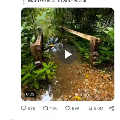 moiuh266888's profile picture. 