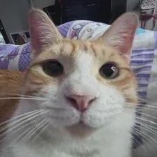 bibleさんのプロフィール画像