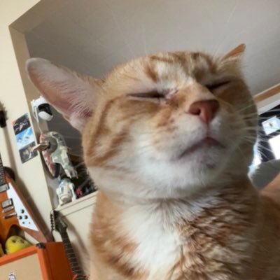 CheesyPoofster Profile Picture