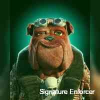 Signature Enforcer (@enforcerignatu) 's Twitter Profile