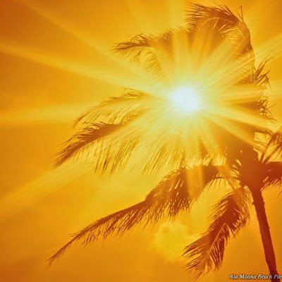 AnkitaChoukse's profile picture. 