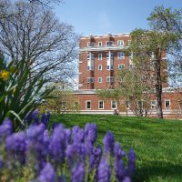 Roesch Library(@roeschlibrary) 's Twitter Profile Photo