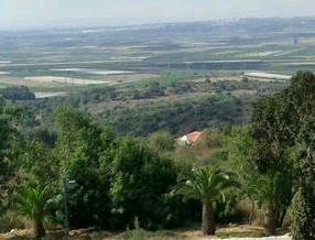 Finding a new life in Israel, with my family of 8, and promoting eco and social awareness in our beautiful homeland.