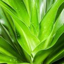 Clyde Phillips - @ClydePhill17100 - Twitter