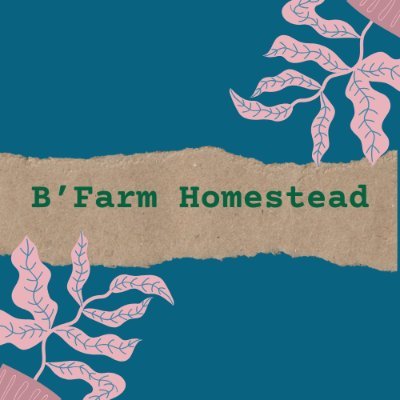 We are a multi-generational homestead that provides tips and information. Please visit our store @BFarmCreations for our unique creations and designs.