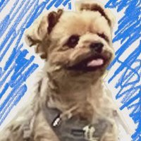 丹羽哲士 (@niwaaaaaaaa) 's Twitter Profile Photo 丹羽哲士 (@niwaaaaaaaa) 's Twitter Profile Photo