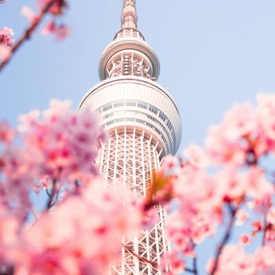 tine0322's profile picture. 