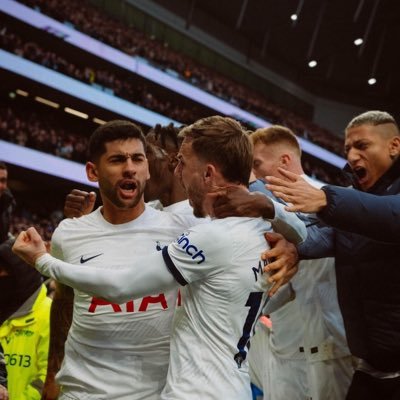 All about the mad club of Tottenham Hotspur