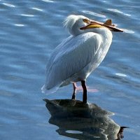 Points Northe (@pointsnorthe) 's Twitter Profile