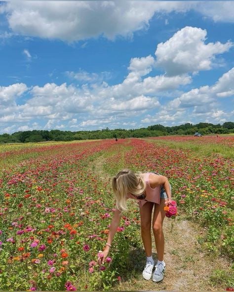 kinouchimi7049's profile picture. 