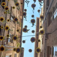 mni𝓐mbre *.•☆•* ࣪˙⛥˙ (@_amb_re) 's Twitter Profile