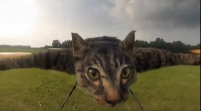 Boichut_Loic's profile picture. CS player