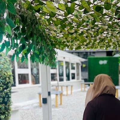 Nowsheen_28's profile picture. And she danced like flames at the bonfire ✨