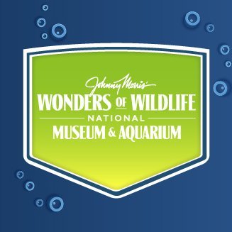 Wonders of Wildlife is the largest, most immersive fish and wildlife attraction in the world.