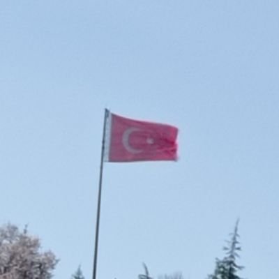 tabitabi400's profile picture. Okumuş adam ...
Naabıyım? Gaydırı gobbak gaydırı gobbak gonuşanları sevmiim #balta