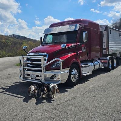 Harvey, Lilli & Walter Welcome to the home of the most Traveled Basset Hounds in America. Proud supporter of basset rescue everywhere