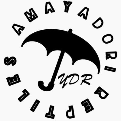 AMAYADORI_rep Profile Picture