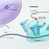 RNAV8 Bio (@rnav8bio) 's Twitter Profile