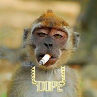 Mavule (@mavule2) 's Twitter Profile Photo Mavule (@mavule2) 's Twitter Profile Photo