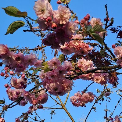 Verde429079's profile picture. 