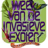 platf⭕rm Stop invasieve exoten 🇺🇦(@InvasieveExoten) 's Twitter Profile Photo