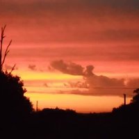 Gustavo (@gustavovan48859) 's Twitter Profile