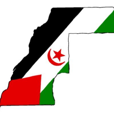 Western Sahara Campaign works with the Saharawi people to generate political support to advance their right to self-determination & promote their human rights