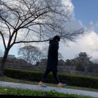 うんちくん(@FfHqzAXPWDlDaox) 's Twitter Profile Photo