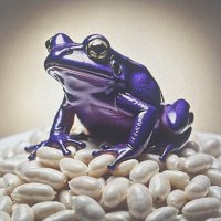 Frog Beans(@frog_beans_tcu) 's Twitter Profile Photo