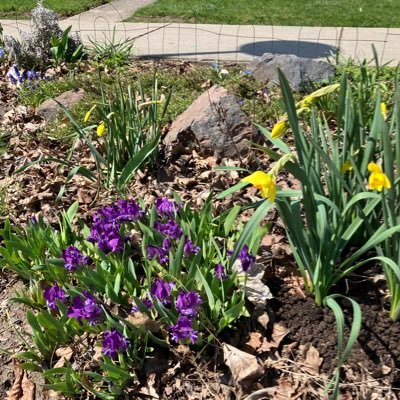 Librarian emeritus who tweets re: libraries, politics, environment & health, social issues, cats, & more. B.Ed MLIS @libmaryann.bsky.social