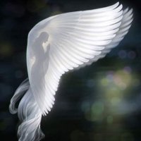Mohamed Ramadan مقيد (@mando9722) 's Twitter Profile Photo Mohamed Ramadan مقيد (@mando9722) 's Twitter Profile Photo