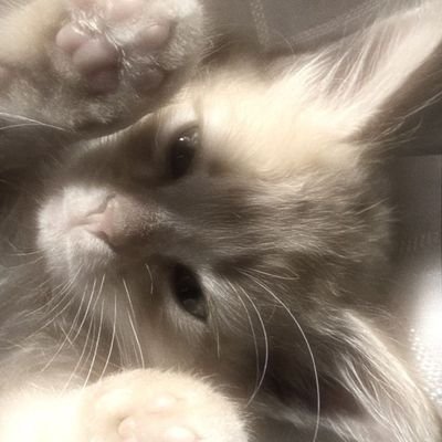 Natalie16683093's profile picture. 