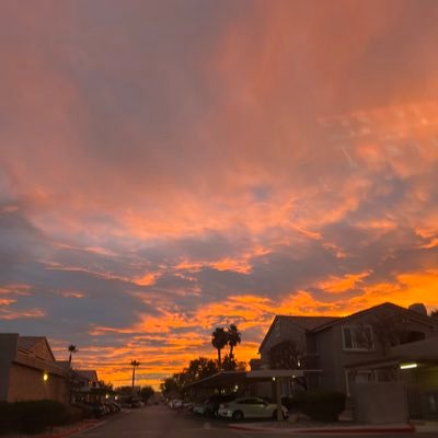 thebitch16661's profile picture. 