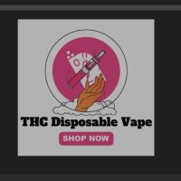 THC Disposable Vape shop(@ThcVape5826) 's Twitter Profile Photo