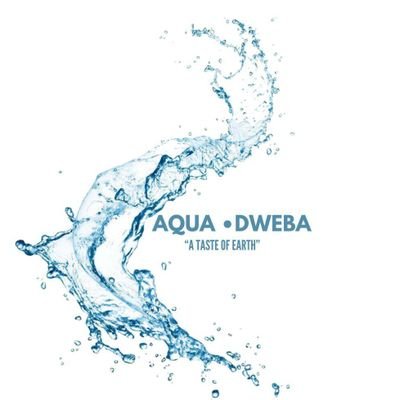 Dweba Investments, through its subsidiaries, Recruitment, Fashion, Services, Chemical Supplies and Investments offers a diversified portfolio of Services