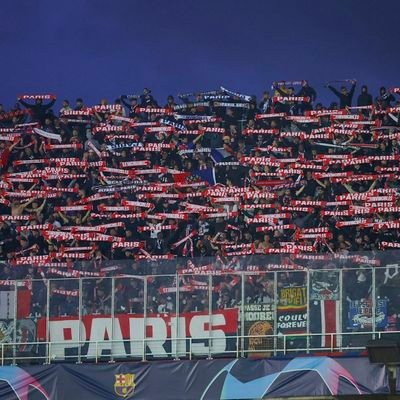 emilienlt22's profile picture. 