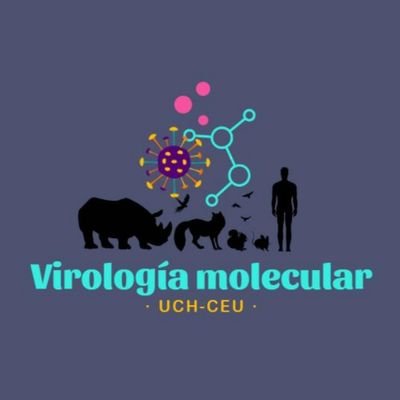 Molecular virology research group from UCH CEU University 🧬🧫🔬
Grupo de investigación en virología molecular de la Universidad UCH CEU
🌍 ONE HEALTH