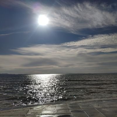 diriliseriyim's profile picture.
