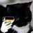 KKKuchni's profile image