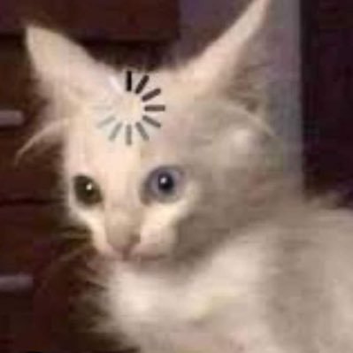 ChristyCole97's profile picture. 🌿🍃🦔🌻🐬🌊