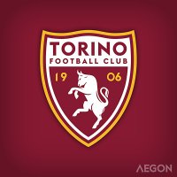 VFL Torino(@VFLTorino_) 's Twitter Profile Photo