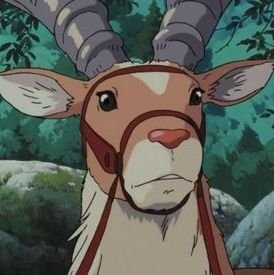 Nestry🦌🎻さんのプロフィール画像