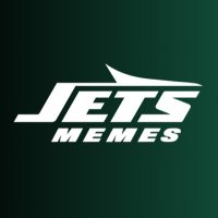 Jets Memes(@MemesJets) 's Twitter Profile Photo