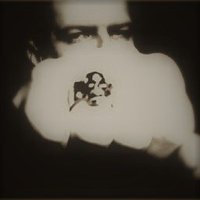 Roger (@sir_roger1) 's Twitter Profile Photo Roger (@sir_roger1) 's Twitter Profile Photo