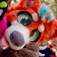 Luna the fox!! (@landshaarrk) 's Twitter Profile Photo Luna the fox!! (@landshaarrk) 's Twitter Profile Photo