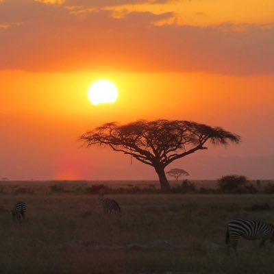 phillip_oaks's profile picture. 