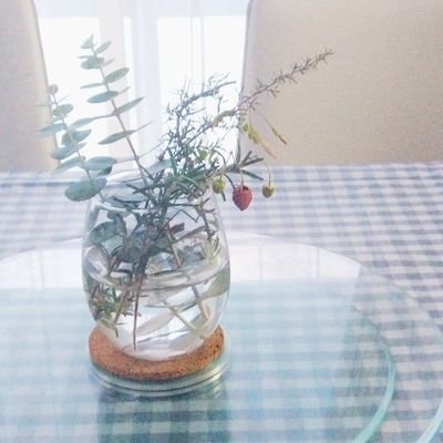 kiitos3936's profile picture. 内容雑多、不定期投稿です🐌🍀