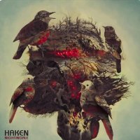 40oz (@40ozdaisy) 's Twitter Profile Photo