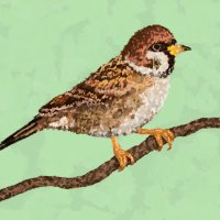 Sparrow (@sparrowseden) 's Twitter Profile